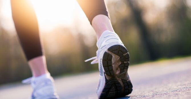 Muscle Testing- Nutrition